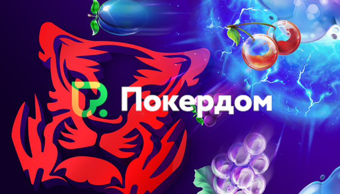Pokerdom - Pokerdom’Интернет-сайт органов власти предоставляет